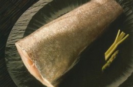 Brótola